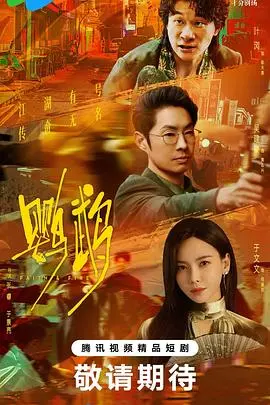 《鹦鹉》:爱与失忆交织,一场关于身份与记忆的悬疑之旅